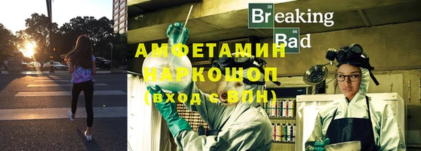 гидра Балахна