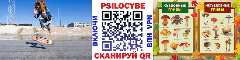 Псилоцибиновые грибы MAGIC MUSHROOMS  Ливны 